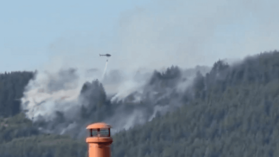Forest fire near Macclesfield caused by disposable BBQ — Macclesfield news photo (BBC Manchester)